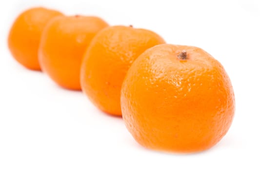 4 Mandarin Oranges 
