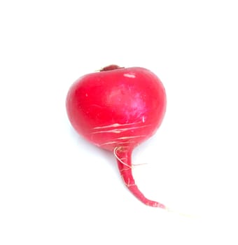 radish on a white background