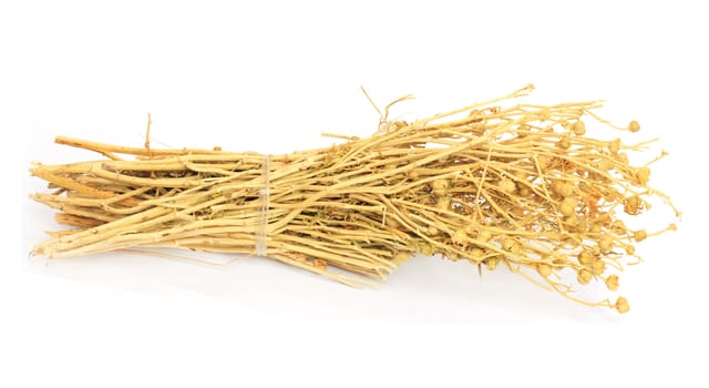 adraspan - dried grass of Central Asia