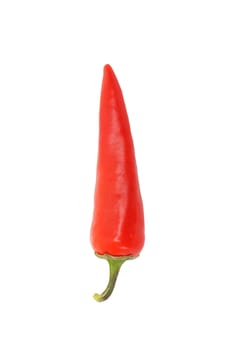 red hot chili pepper isolated on a white background 