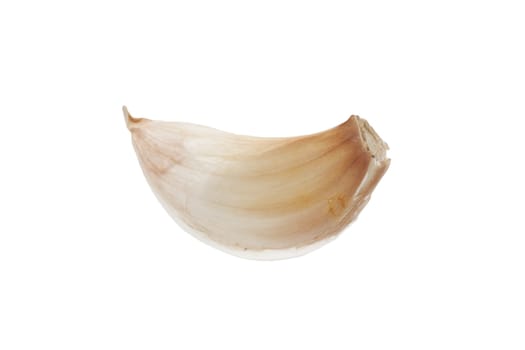 clove of garlic isolated on white background 