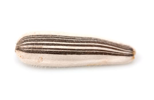 Extreme close-up image of sunflower seeds studio isolated on white background 