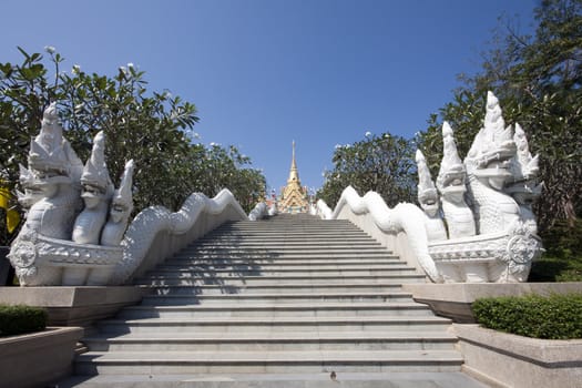 Temple Steps and Naga