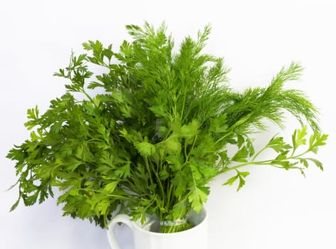 dill and parsley at platw isolated on a white background 