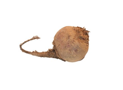 Big fresh beetroot isolated on white background, vegetables photo 