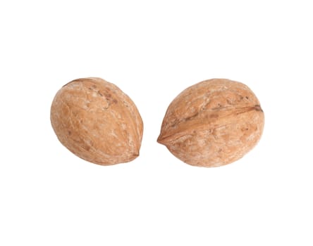 two walnuts on white background