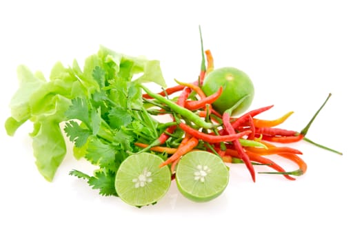 fresh green lime , lettuce,  chinese parsley and chili