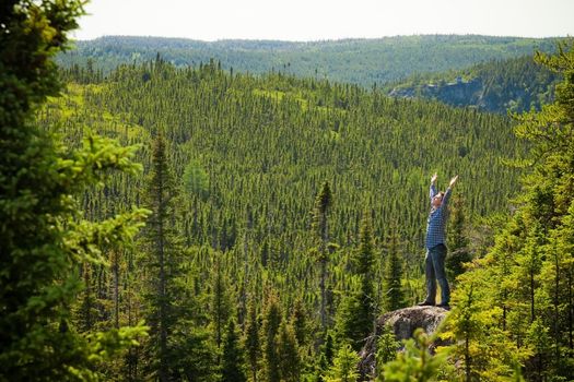 Young man on a rock in the middle of the nature