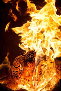 Close-up of flames and log wood burning