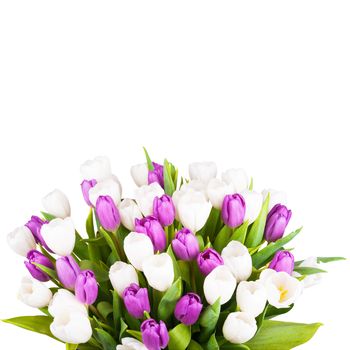 Bouquet of tulips isolated on white background