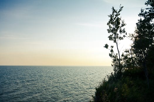 View of the skyline