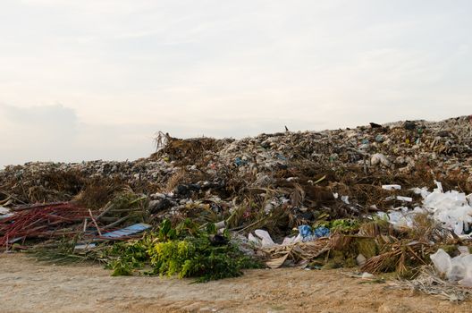 big grabage heap problem of pollution