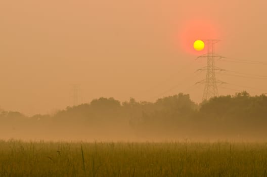 Sunrise on green rice farm  