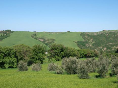 The landscape of the Val d’Orcia. Tuscany. Italiy