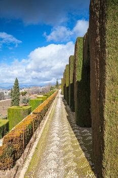 Gardens of La Alhambra in Granada, Spain