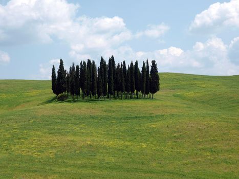 The landscape of the Val d’Orcia. Tuscany.