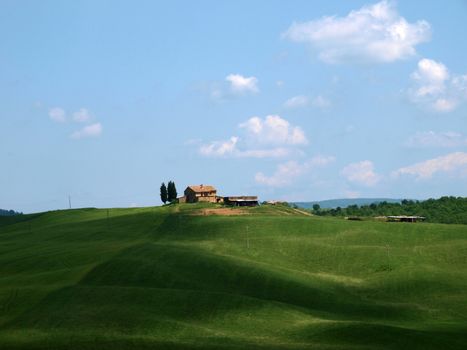 The landscape of the Val d’Orcia. Tuscany. 