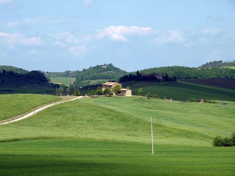The landscape of the Val d’Orcia. Tuscany. 
