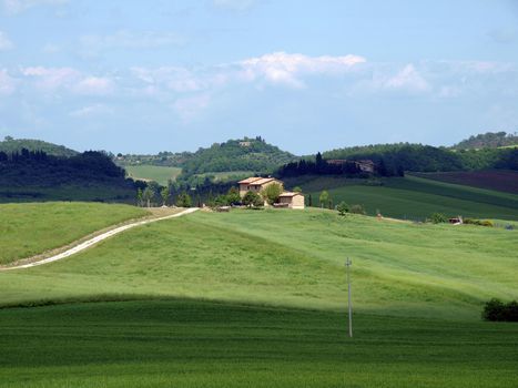 The landscape of the Val d’Orcia. Tuscany. 