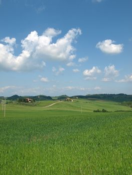 The landscape of the Val d’Orcia. Tuscany. 