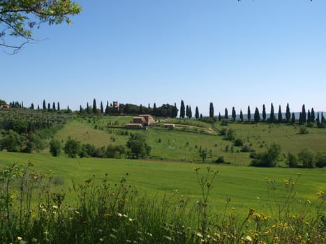 The landscape of the Tuscany. Italiy