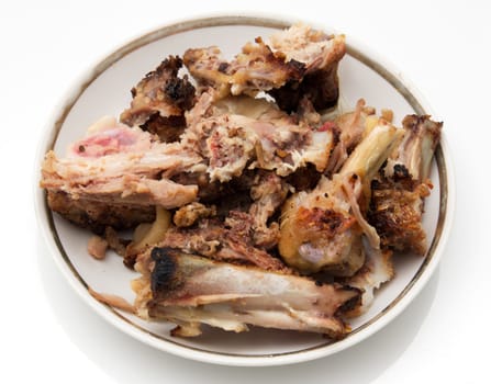 gnawed bones from chicken