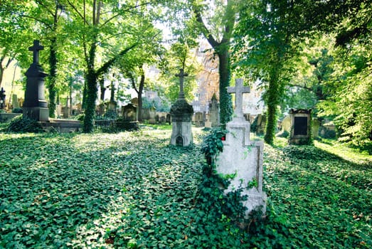 cemetery