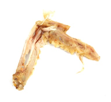 bone of the chicken