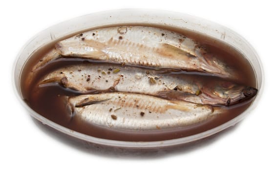 spicy salted herring on a white background