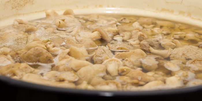 Mushrooms cook in a pan