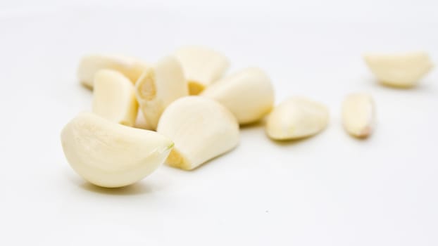 garlic on a white background