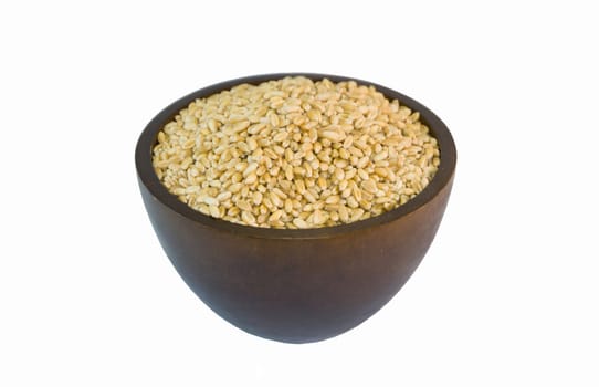 wheat in isolated background