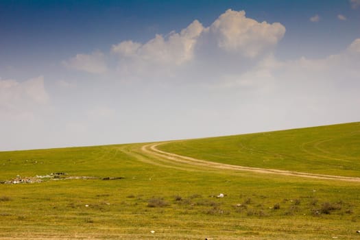 green field with a road