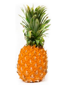 pineapple on white background