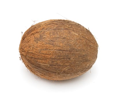 coconut on white background