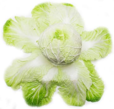 Cabbage on a white background