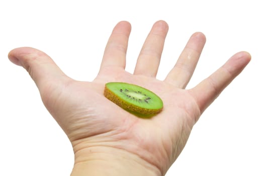 kiwi  in a hand on a white background