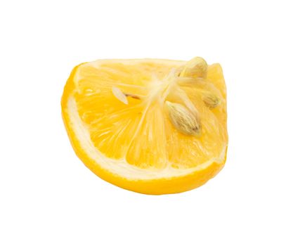 lemon on a white background