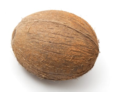coconut on white background