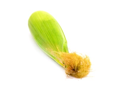 corn on a white background