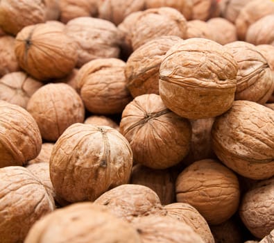 Walnut as a background