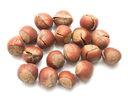 hazelnuts on a white background