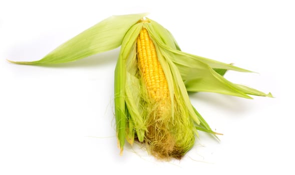 corn on a white background