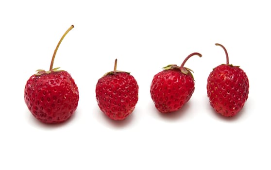  strawberries on a white background