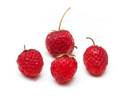 strawberries on a white background