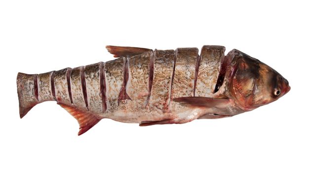 carp of cuts on a white background