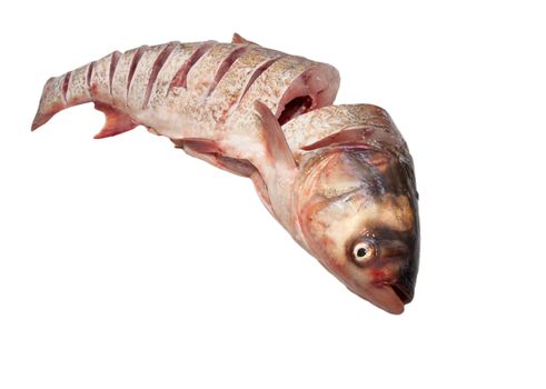 carp of cuts on a white background