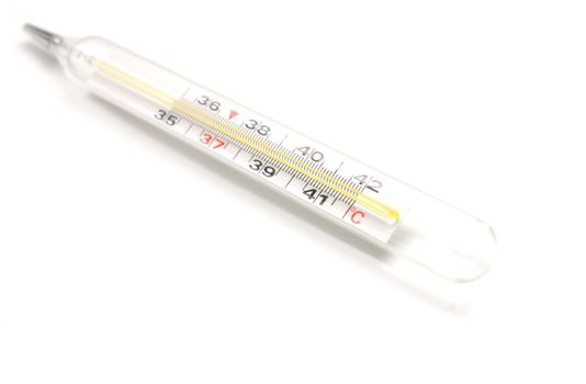 Thermometer on the white background 