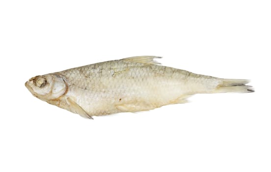 Dried Redeye Fish Isolated on White Background 