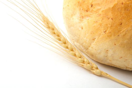bread and wheat on a white background